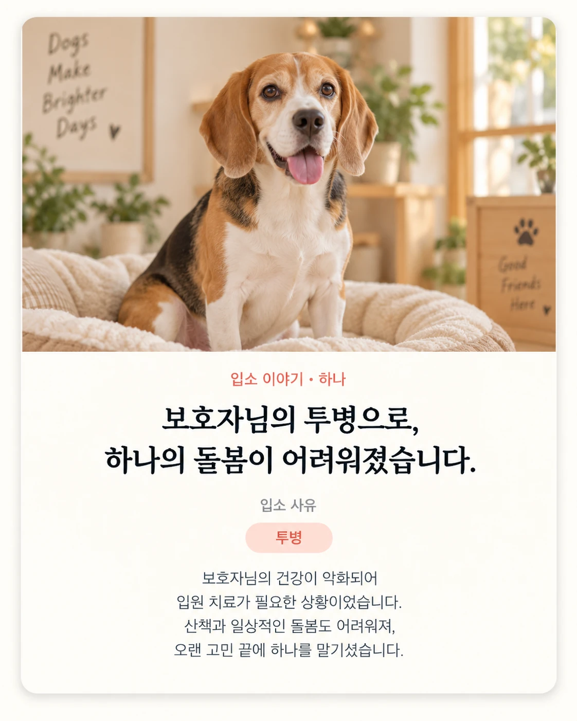 입소 이야기 하나 카드
