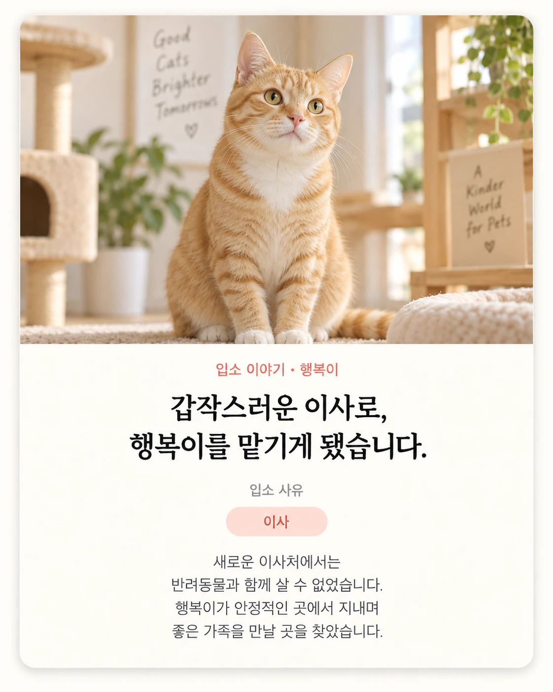 입소 이야기 행복이 카드