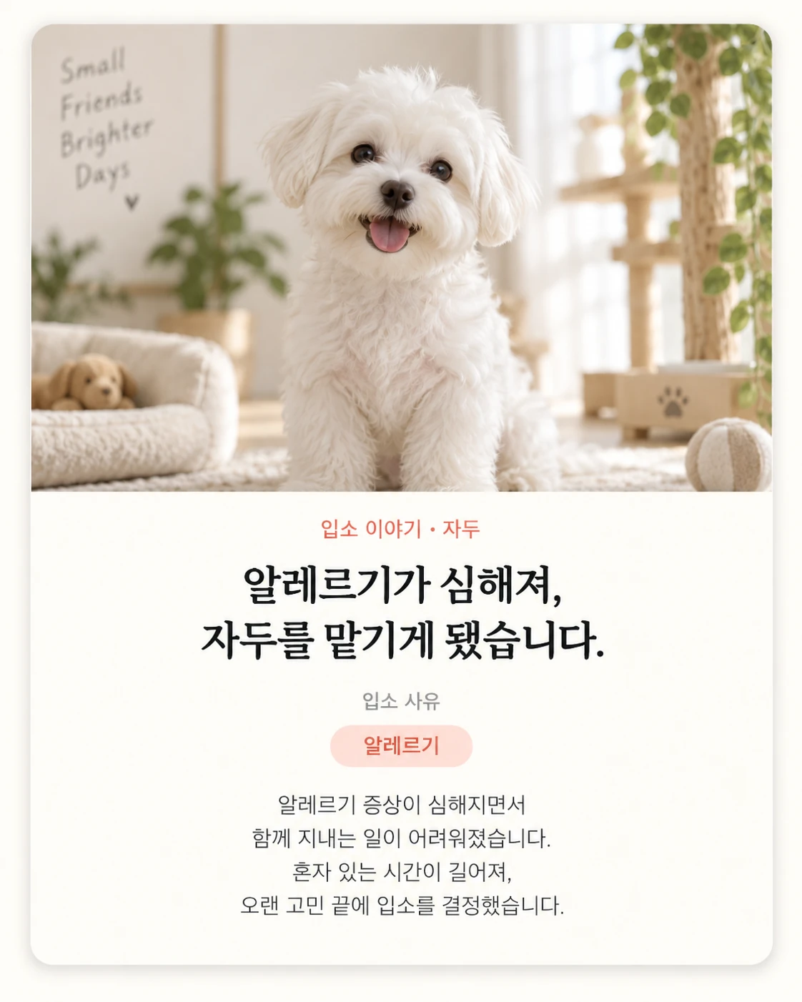 입소 이야기 자두 카드
